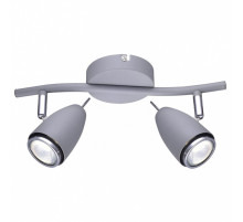 Спот Arte Lamp Regista A1966AP-2GY