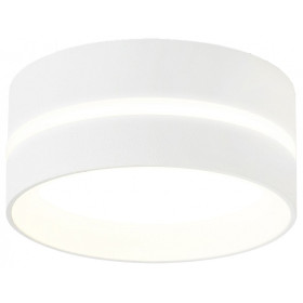 Накладной светильник Ambrella Light TN TN5388