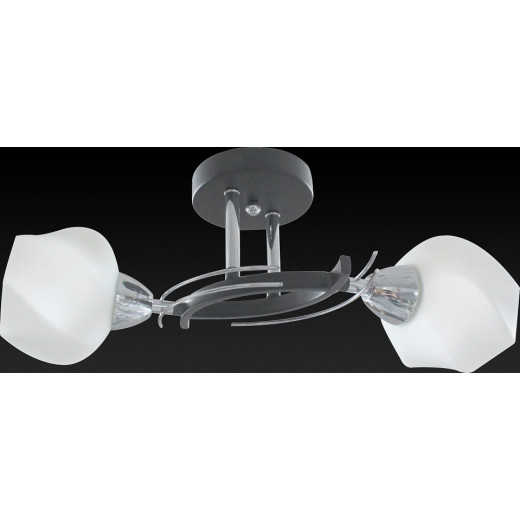 Светильник на штанге TopLight Lia TL7380X-02BC