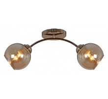 Светильник на штанге 01538-0.3-02 FGD