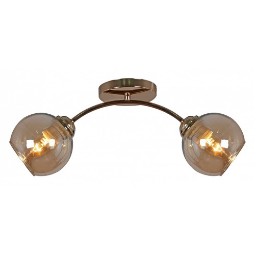 Светильник на штанге 01538-0.3-02 FGD