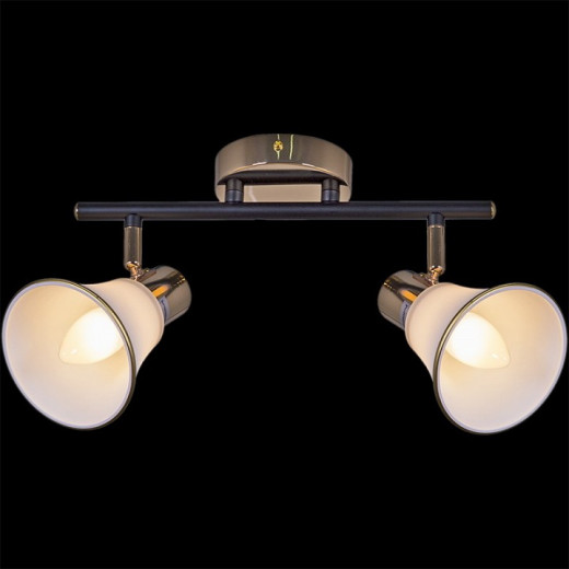 Светильник на штанге  05901-0.8-02 BK+FGD