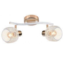 Светильник на штанге  05952-0.8-02 WH+FGD