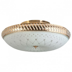 Светильник на штанге TopLight Loreen TL1492Y-05GC