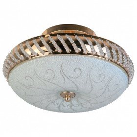 Светильник на штанге TopLight Davina TL1480Y-03GC