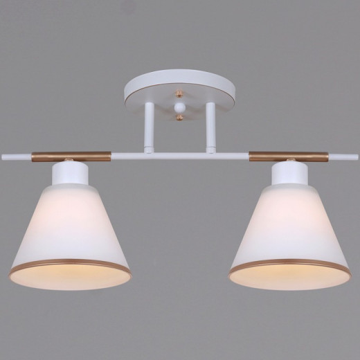 Светильник на штанге 07594-0.3-02 WG