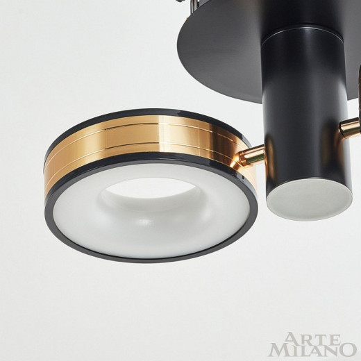 Светильник на штанге Arte Milano Ferrara-71040 271040/2R BK/GD