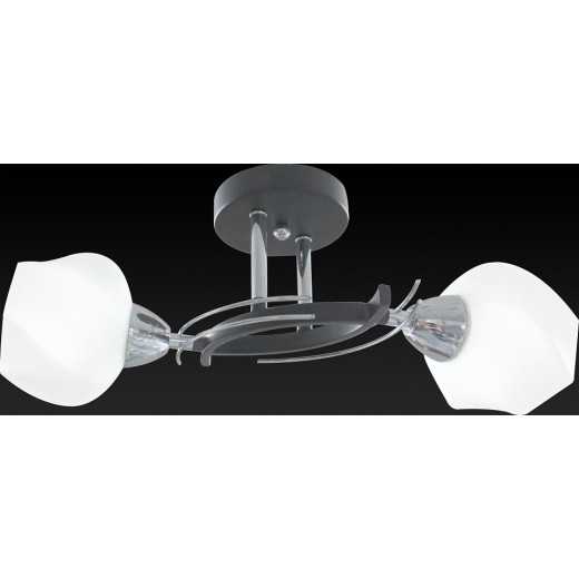 Светильник на штанге TopLight Lia TL7380X-02BC