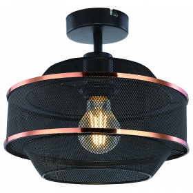 Светильник на штанге Globo Bellona 54020D