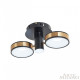 Светильник на штанге Arte Milano Ferrara-71040 271040/2R BK/GD