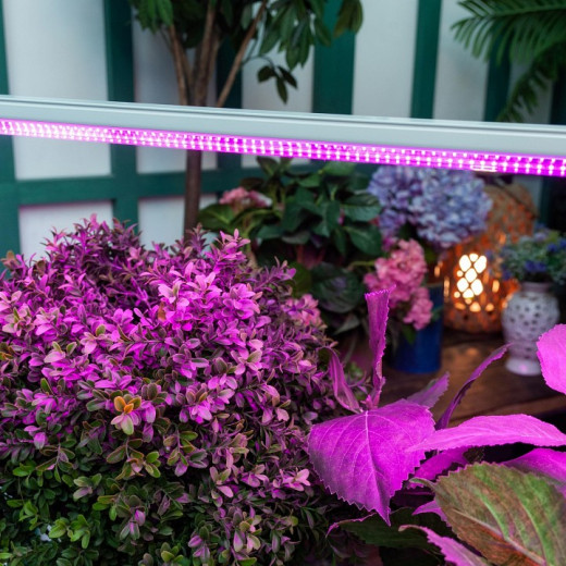 Светильник для растений Uniel ULI-P21 UL-00002993