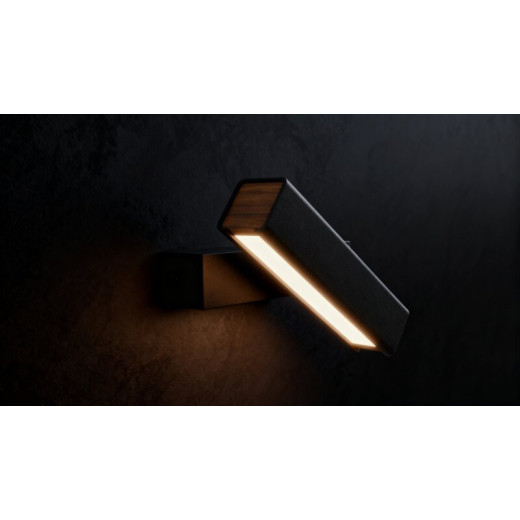 Накладной светильник LIGHTERA Baffin LE112W-1B