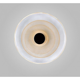 Накладной светильник Aployt Stusia APL.350.01.03