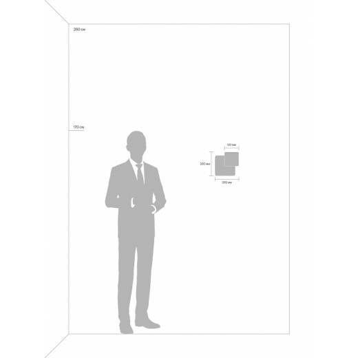 Накладной светильник Freya Siala 02 FR10027WL-L13B