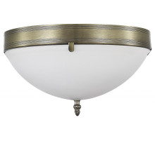 Накладной светильник MyFar Biene MR2520-2W