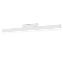 Накладной светильник Ambrella Light GL GL4002