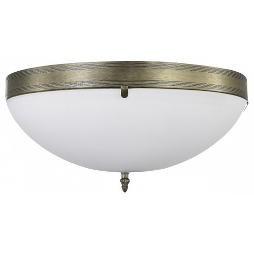 Накладной светильник MyFar Biene MR2521-3W