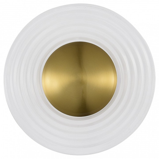 Накладной светильник ST-Luce МУН SL6125.301.01