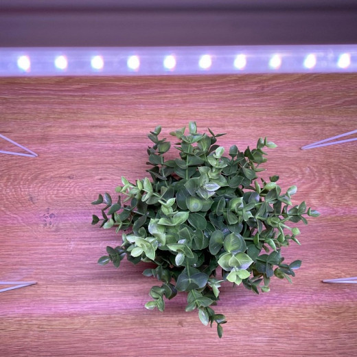 Светильник для растений Uniel P10 UL-00001262