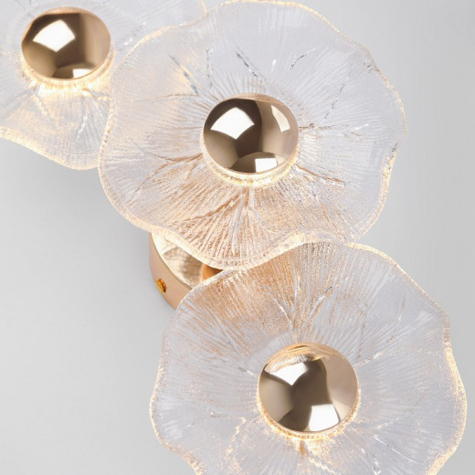 Накладной светильник Rivoli Shannon Б0061948