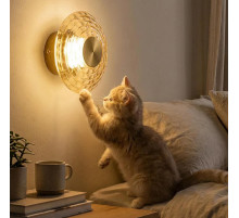 Накладной светильник Citilux JANTAR CL240313