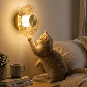 Накладной светильник Citilux JANTAR CL240313