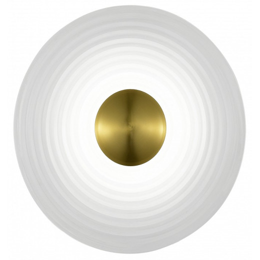 Накладной светильник ST-Luce МУН SL6125.311.01