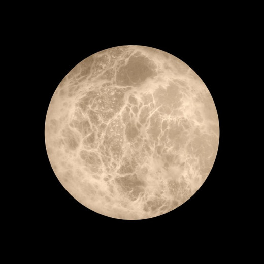 Накладной светильник Loft it Emi 10414W/S