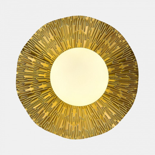 Накладной светильник EVOLUCE Lorea SLE1196-301-01