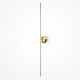 Накладной светильник Maytoni Elegant C084WL-L18BS2.7K-1