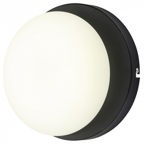 Накладной светильник Escada METEOR 10273/1LED Black