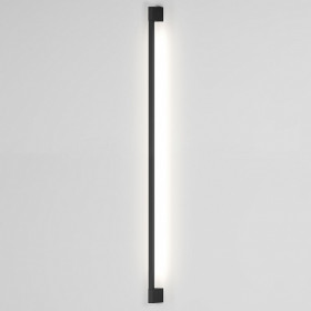 Накладной светильник Elektrostandard Argos 35121/D