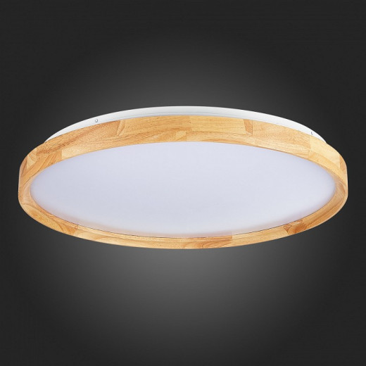 Накладной светильник EVOLUCE DELIA SLE201382-01