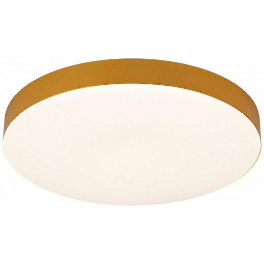 Накладной светильник Эра Relict Relict 38 SPB-6-40 4К MG