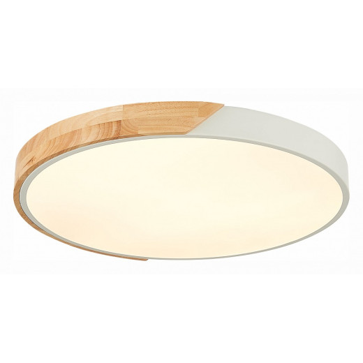 Накладной светильник EVOLUCE Festa SLE200952-01