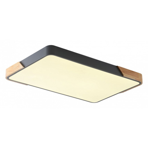 Накладной светильник Zortes Alberro ZRS.01277.60