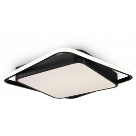 Накладной светильник Freya  FR10030CL-L88B