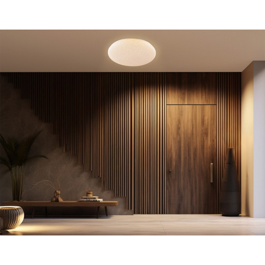 Накладной светильник Ambrella Light  FZ1751