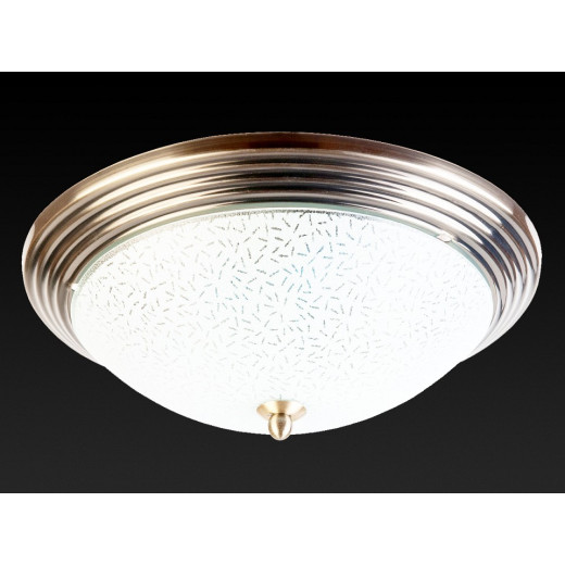 Накладной светильник TopLight Olive TL5030Y-02AB