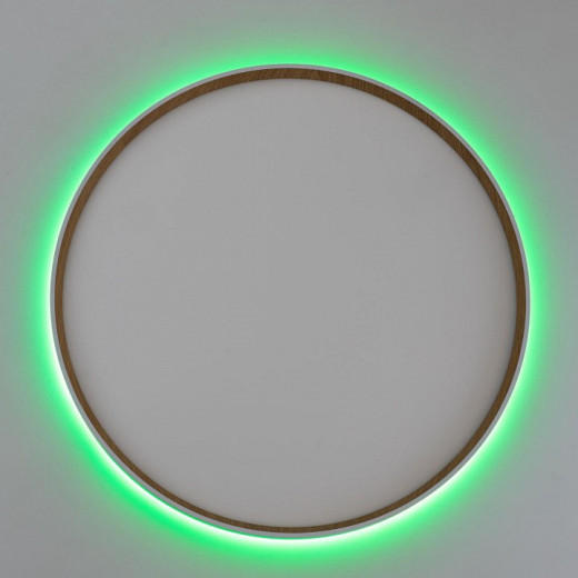 Накладной светильник Citilux ETALON CL750500R