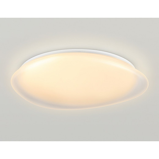 Накладной светильник Ambrella Light ORBITAL FZ1615