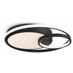 Накладной светильник Freya  FR10028CL-L80B