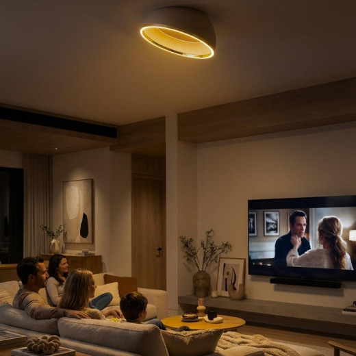 Накладной светильник Citilux FLOOM CL736152