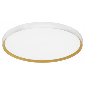 Накладной светильник EVOLUCE HELST SLE1810-502-01