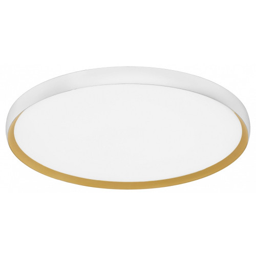 Накладной светильник EVOLUCE HELST SLE1810-502-01