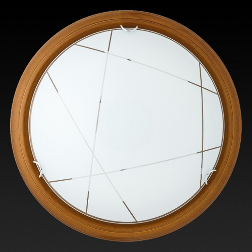 Накладной светильник TopLight Karen TL9013Y-02OA