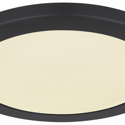 Накладной светильник Globo Lasse 12379-24B