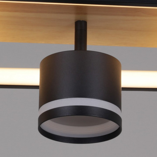 Накладной светильник 19560-0.3-2+2 BK+WOOD