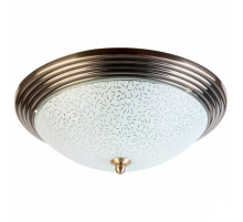 Накладной светильник TopLight Olive TL5030Y-02AB