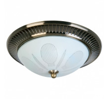 Накладной светильник TopLight Fae TL5060Y-02AB